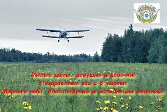 ДОСААФ России (официальная группа)..